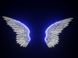 wings 3D 模型