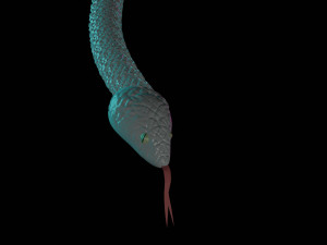 snake 3Dモデル