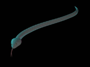 snake 3D 모델