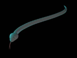 yılan 3D Model