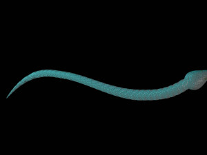 snake 3D 모델