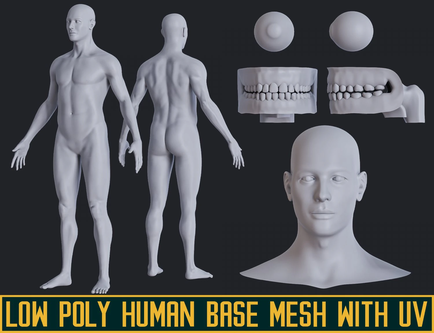 low poly human base mesh with uv 3D Model .c4d .max .obj .3ds .fbx .stl .blend 