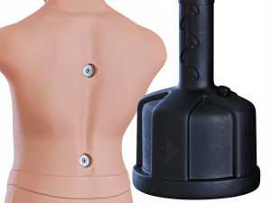 BOB BODY OPPONENT BAG Boxing 3Dモデル