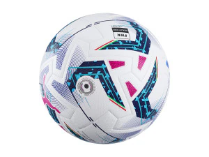 Puma Italian Serie A balls 3D Model