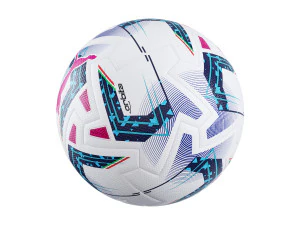 Puma Italian Serie A balls 3D Model