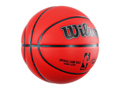 Basket Molten e Wilson Modello 3D