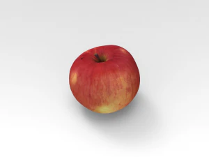 apple 3D Model