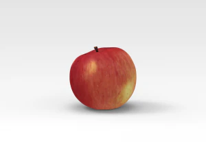 apple 3D Model