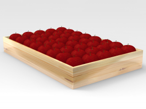 apple tray 3D Модель