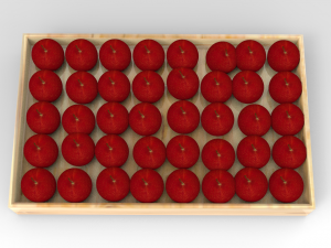 apple tray 3D मॉडल