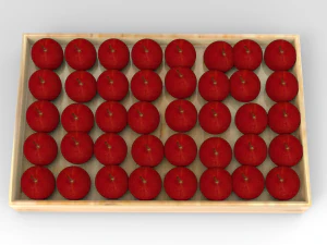 elma tepsisi 3D Model