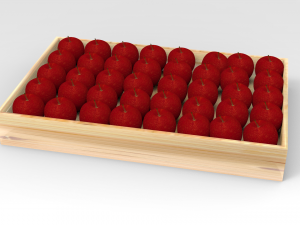 apple tray 3D मॉडल