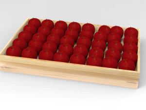 elma tepsisi 3D Model