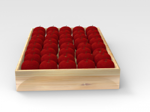 apple tray 3D मॉडल