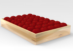 apple tray 3D मॉडल