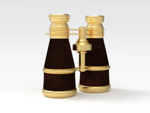 Binocular 3D Model