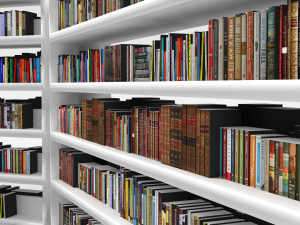 Book Rack Model 3D