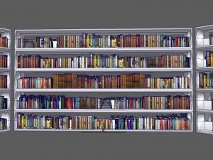 Book Rack Model 3D