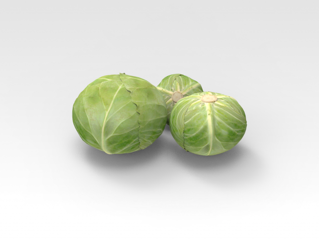 Cabbage Model 3D .c4d .max .obj .3ds .fbx .stl .blend 