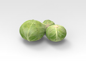 Cabbage Modelo 3D
