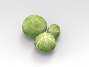 Cabbage Model 3D