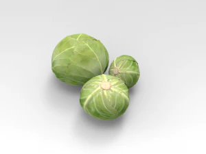 Cavolo Modello 3D