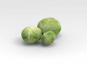 Cabbage Model 3D