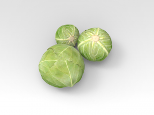 Cabbage Model 3D