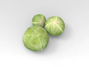 Cavolo Modello 3D