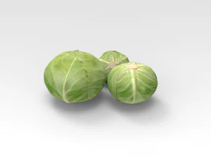 Cavolo Modello 3D