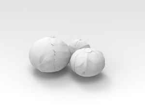 Cabbage Model 3D