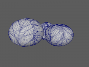Cabbage Model 3D
