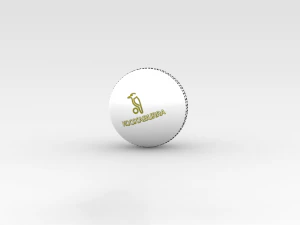 Cricket Balls 3D Model