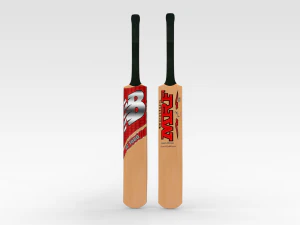 Cricket Bat 3D Model