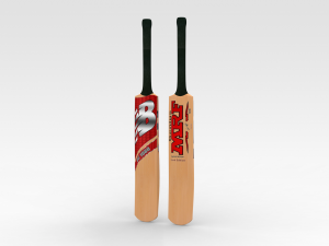 Cricket Bat 3D Model