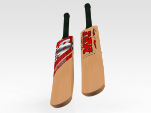 Cricket Bat 3D Model