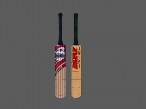Cricket Bat 3D Model