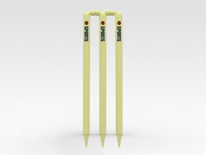 Cricket Wickets 3D Model
