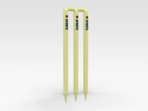 Cricket Wickets 3D Model