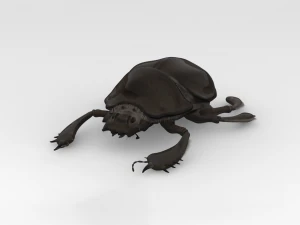 Scarab 3D Model