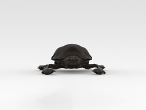Scarab 3D 모델