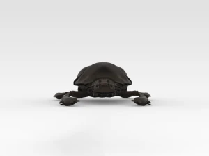 Scarab 3D Model