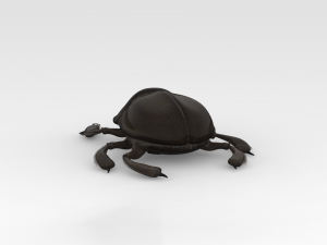 Scarab 3D 모델