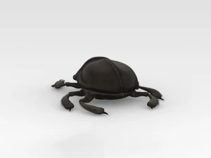 Scarab 3D Model
