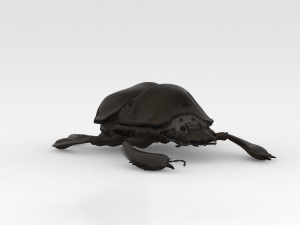 Scarab 3D 모델