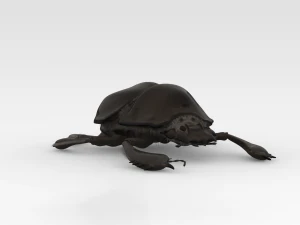 Scarab 3D Model