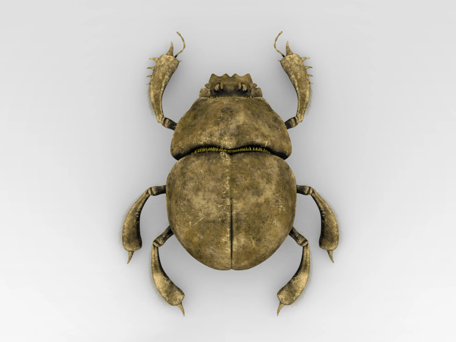 Golden Scarab 3D Model .c4d .max .obj .3ds .fbx .stl .blend 