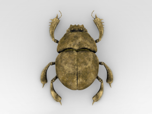 Golden Scarab 3D मॉडल