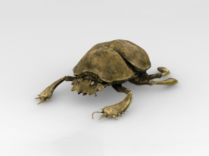 Golden Scarab Modelo 3D