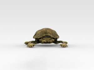 Golden Scarab Modelo 3D